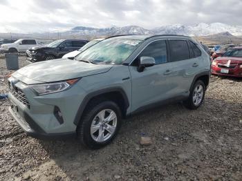  Salvage Toyota RAV4