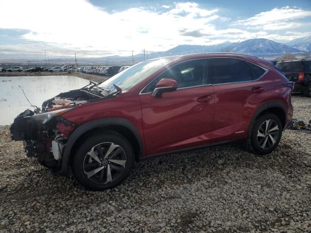  Salvage Lexus NX