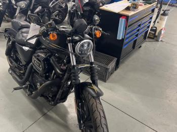  Salvage Harley-Davidson Xl883 N