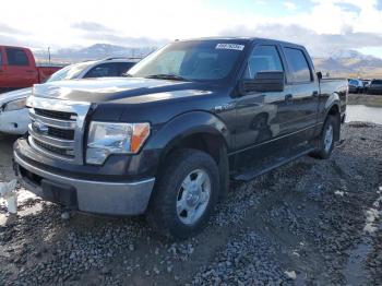  Salvage Ford F-150