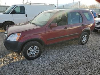  Salvage Honda Crv