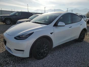  Salvage Tesla Model Y