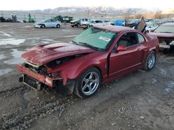  Salvage Ford Mustang