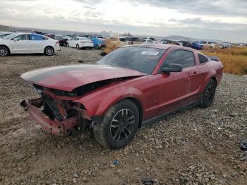  Salvage Ford Mustang