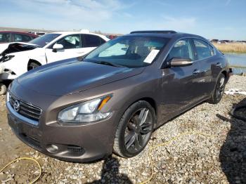  Salvage Nissan Maxima