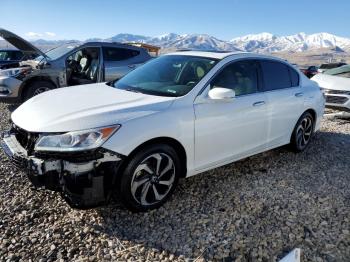  Salvage Honda Accord