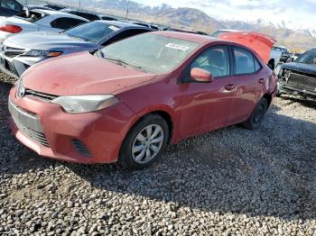  Salvage Toyota Corolla