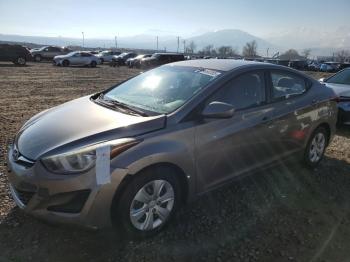  Salvage Hyundai ELANTRA