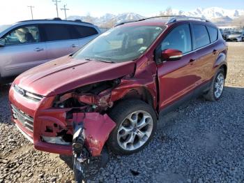  Salvage Ford Escape