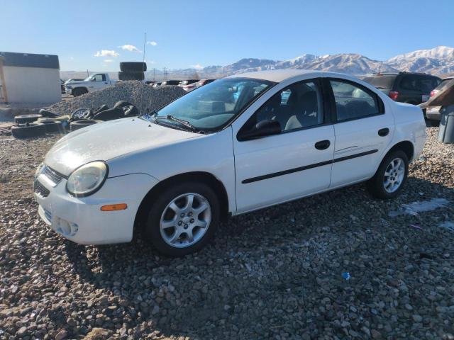  Salvage Dodge Neon