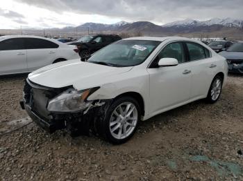  Salvage Nissan Maxima