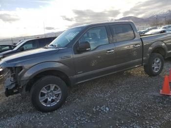  Salvage Ford F-150