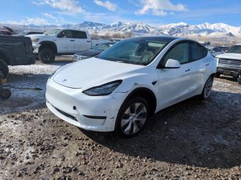  Salvage Tesla Model Y