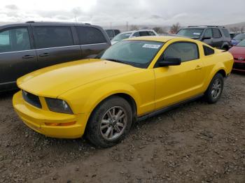  Salvage Ford Mustang