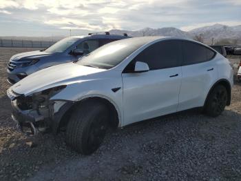  Salvage Tesla Model Y