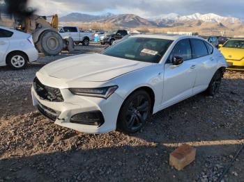  Salvage Acura TLX