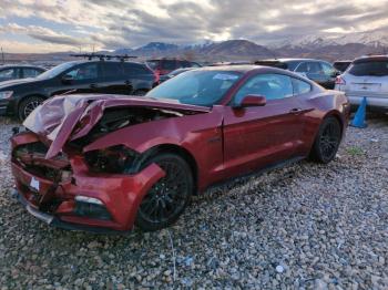  Salvage Ford Mustang