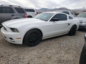  Salvage Ford Mustang