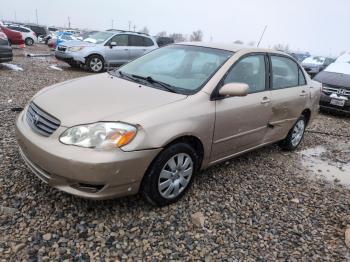  Salvage Toyota Corolla