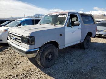  Salvage Ford Bronco