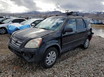  Salvage Honda Crv