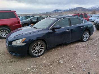  Salvage Nissan Maxima