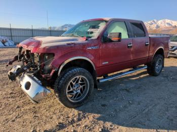  Salvage Ford F-150