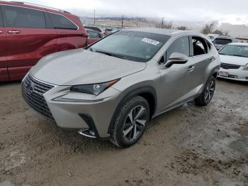  Salvage Lexus NX