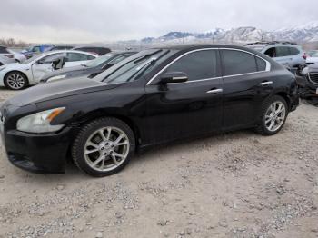  Salvage Nissan Maxima