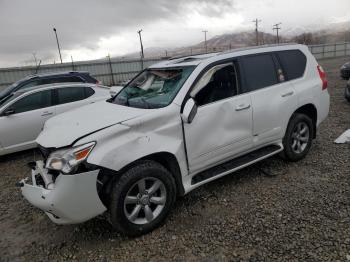  Salvage Lexus Gx