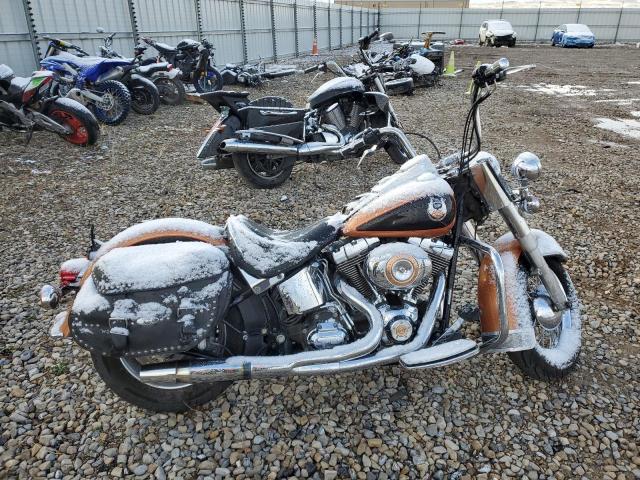  Salvage Harley-Davidson Flstc 105t