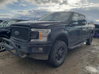  Salvage Ford F-150