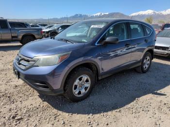  Salvage Honda Crv