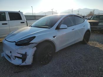  Salvage Tesla Model Y