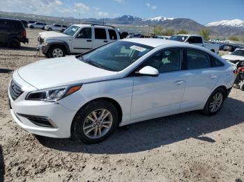  Salvage Hyundai SONATA