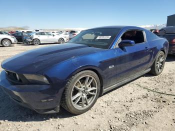  Salvage Ford Mustang