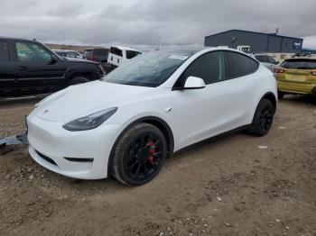  Salvage Tesla Model Y