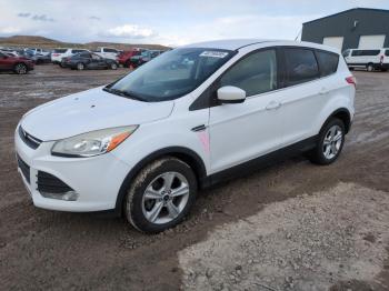  Salvage Ford Escape
