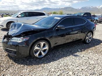  Salvage Acura TLX