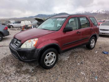  Salvage Honda Crv