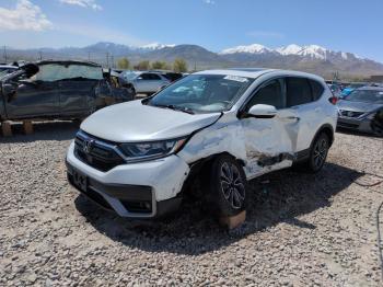  Salvage Honda Crv