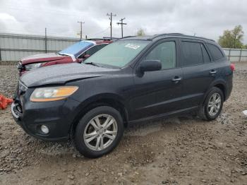  Salvage Hyundai SANTA FE