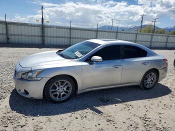  Salvage Nissan Maxima