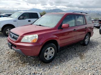  Salvage Honda Pilot