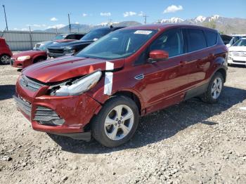  Salvage Ford Escape