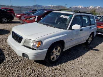  Salvage Subaru Forester