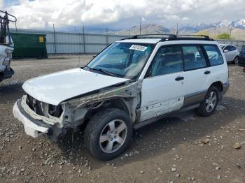  Salvage Subaru Forester