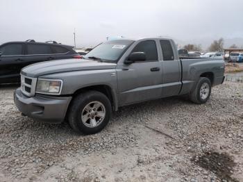  Salvage Dodge Dakota