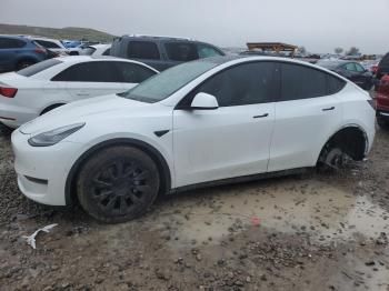  Salvage Tesla Model Y
