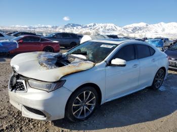  Salvage Acura TLX